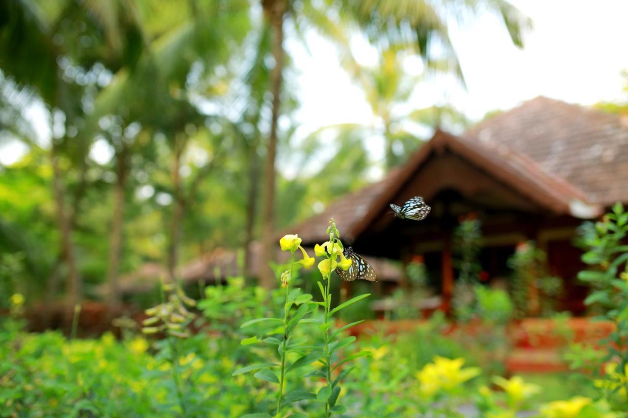 Thrissur The Nattika Beach Resort المظهر الخارجي الصورة