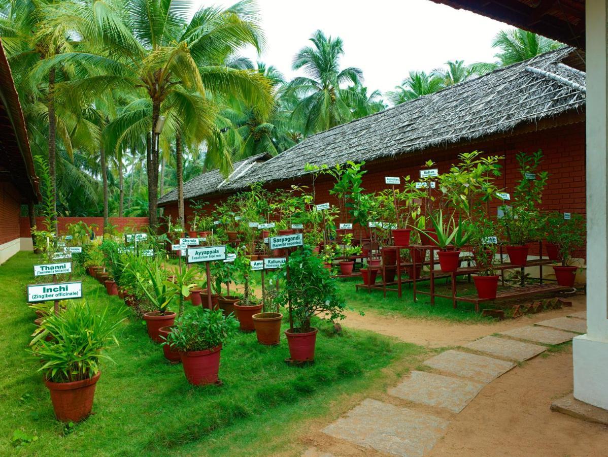 Thrissur The Nattika Beach Resort المظهر الخارجي الصورة